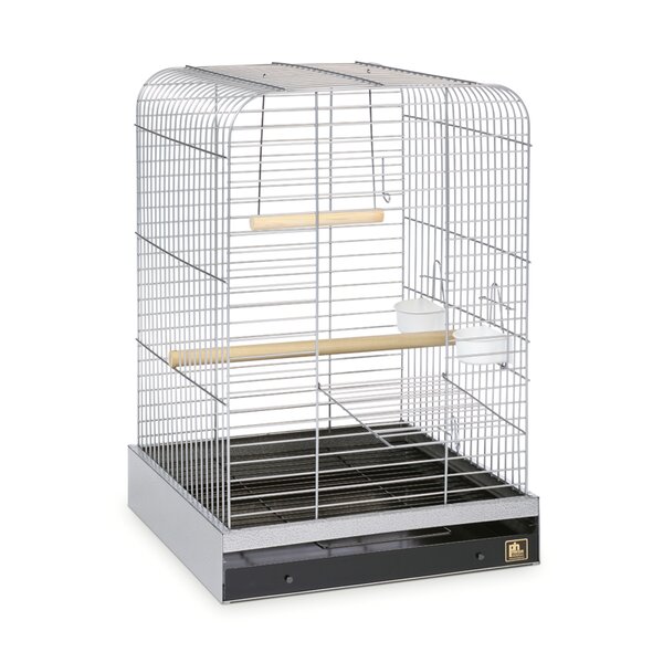 Table top sales bird cage